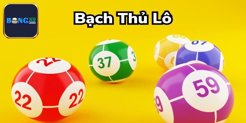 Giới thiệu về soi cược bạch thủ lô 247