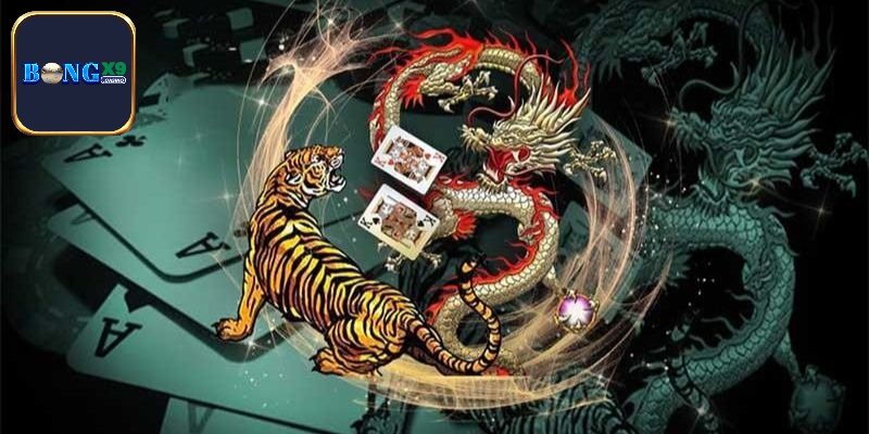 Một số thông tin về trò chơi Rồng Hổ Bongx9
