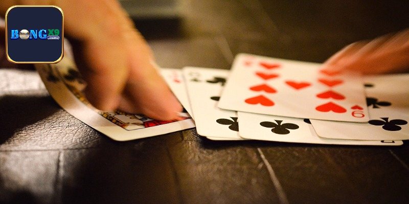 Phân loại phỏm phổ biến hiện nay