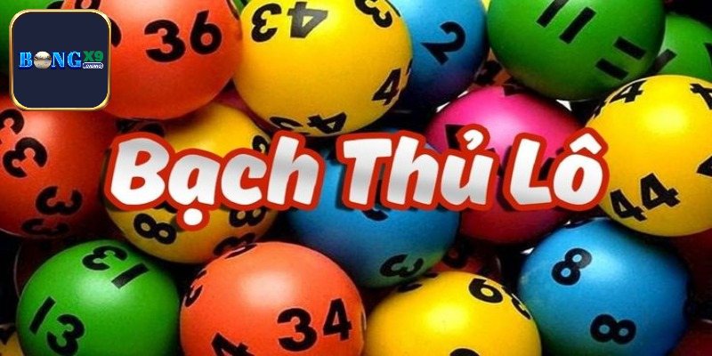 Soi Cầu Bạch Thủ Lô 247 Chính Xác Hôm Nay Từ Cao Thủ Lâu Năm